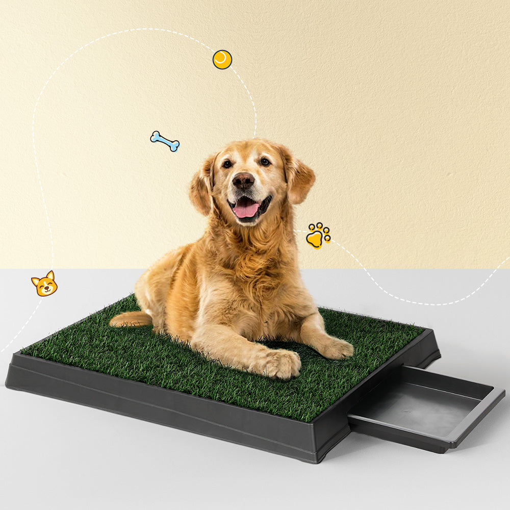 Grass Potty Pad with Tray – 1 Mat