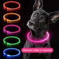 LED Glow Pet Collar, USB Rechargeable – Purple, L
