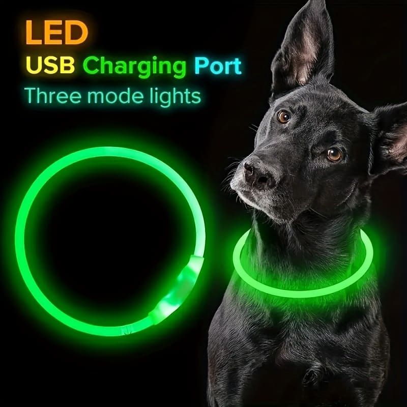 LED Glow Pet Collar, USB Rechargeable – Purple, L