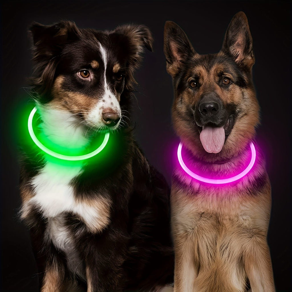 LED Glow Pet Collar, USB Rechargeable – Purple, L