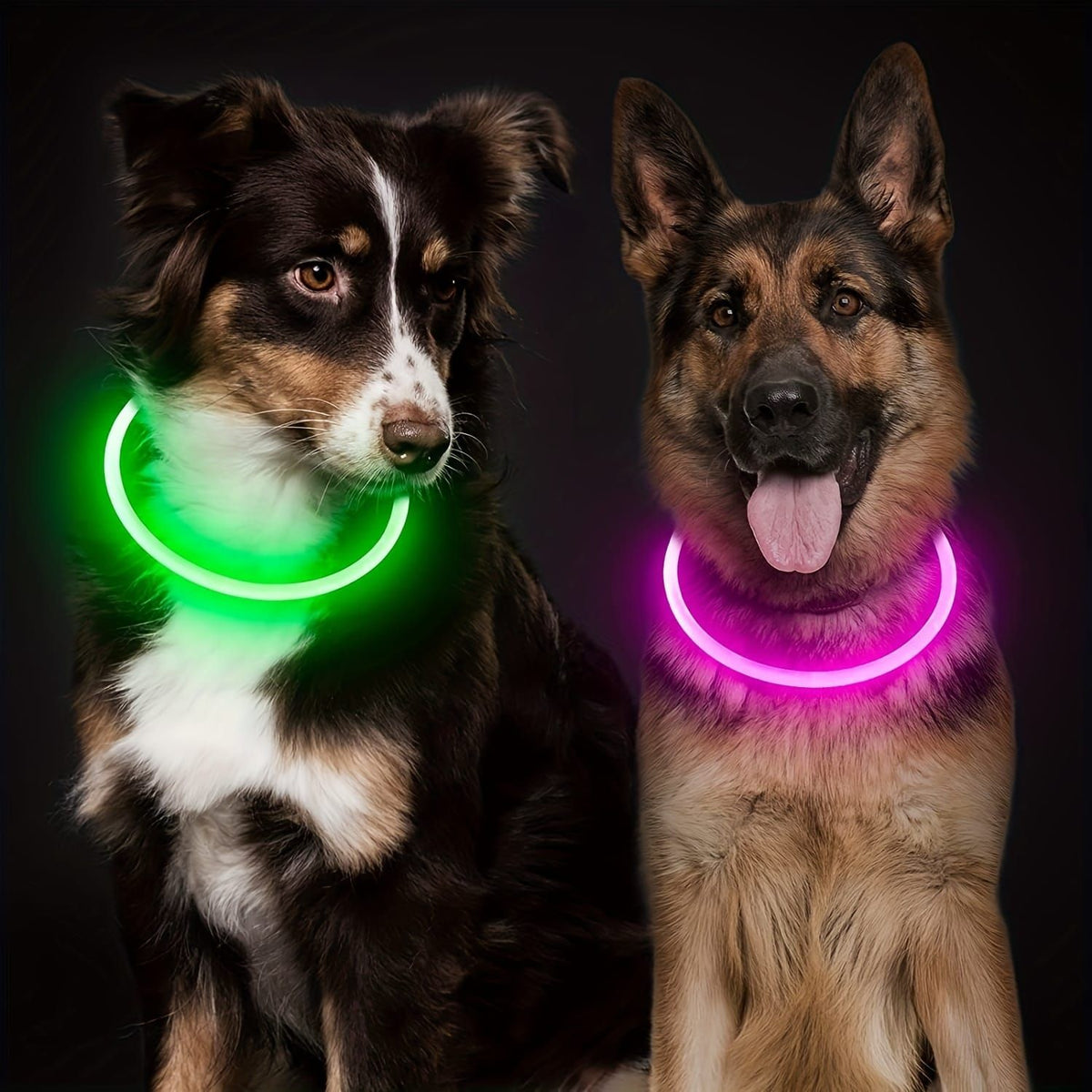 LED Glow Pet Collar, USB Rechargeable – Purple, L