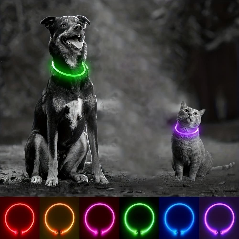 LED Glow Pet Collar, USB Rechargeable – Purple, L