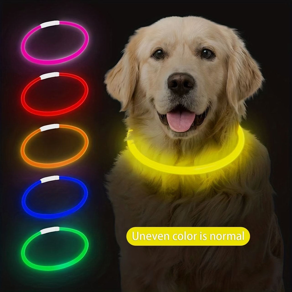 LED Glow Pet Collar, USB Rechargeable – Purple, L
