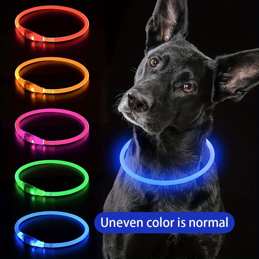 LED Glow Pet Collar, USB Rechargeable – Purple, L