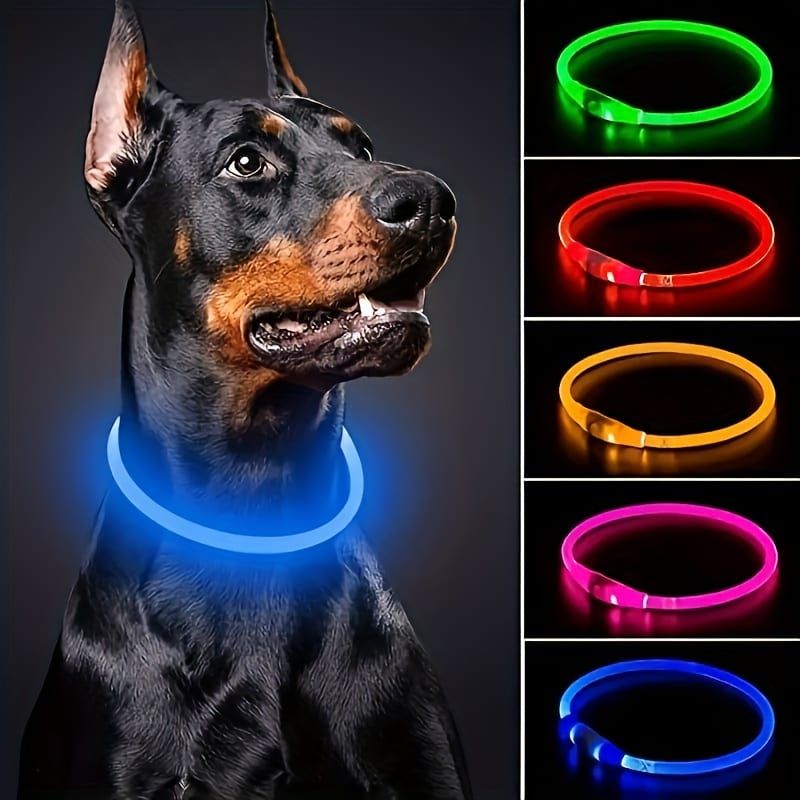 LED Glow Pet Collar, USB Rechargeable – Purple, L