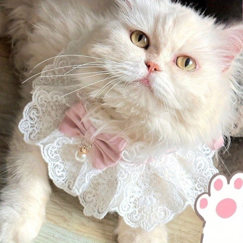Lace Bow Cat Collar – Burgundy, S