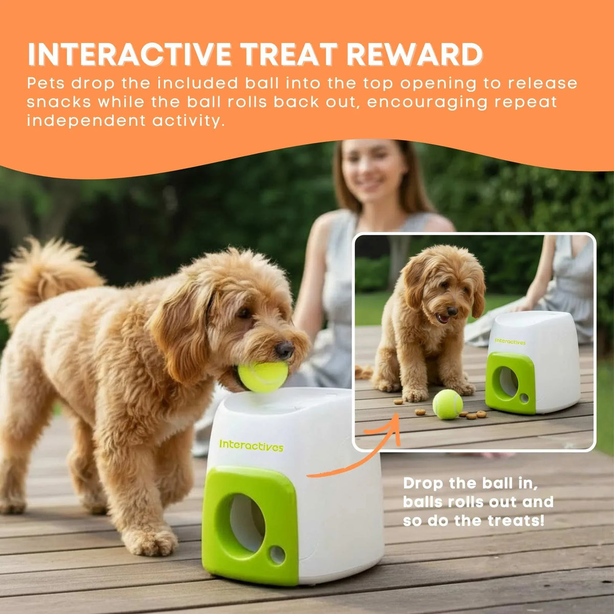 Treat-Dispensing Puzzle Ball Dog Toy