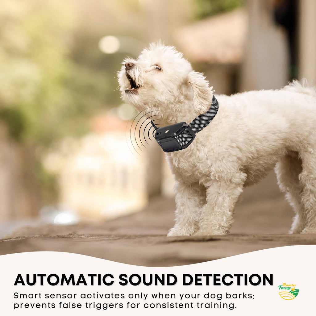 Rooster Farms Bark Training Collar – Citronella & Sound, Rechargeable