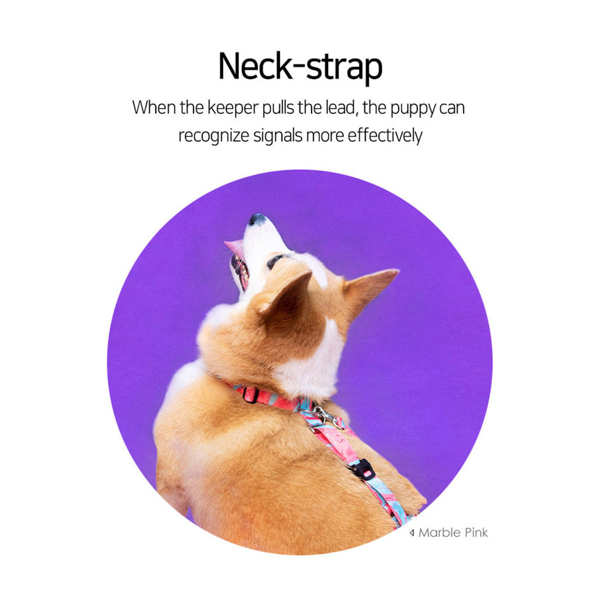 No-Pull Double-Strap Dog Harness – Green, M