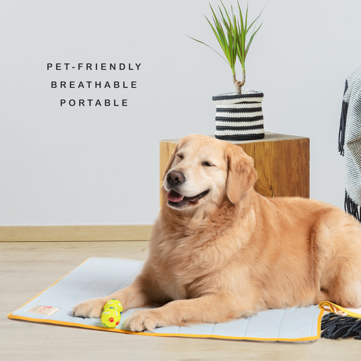 Roll-Up Dog Cooling Mat – Blue, L