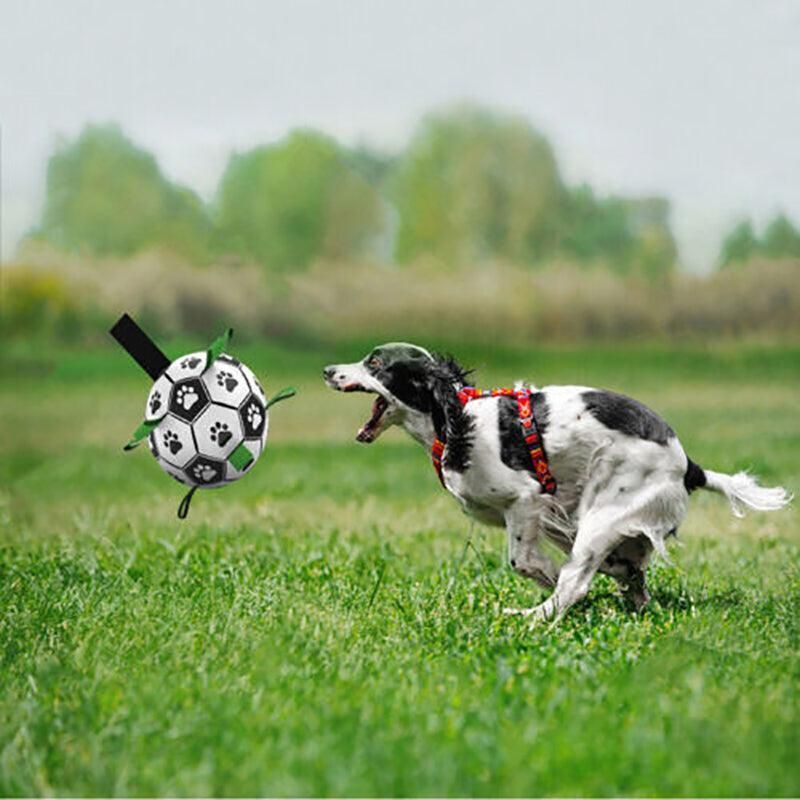 Dog Football with Grab Tabs