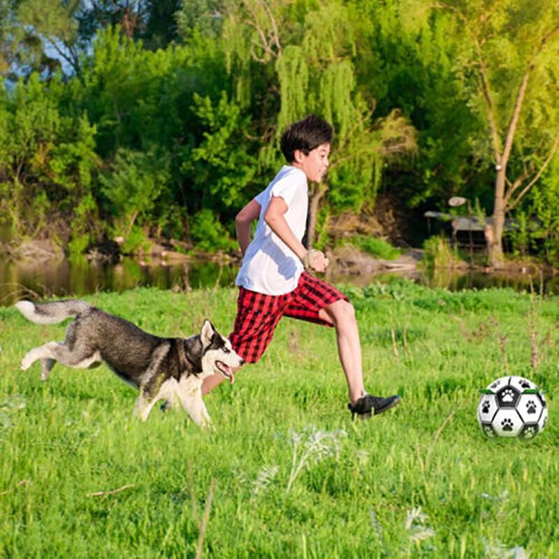Dog Football with Grab Tabs