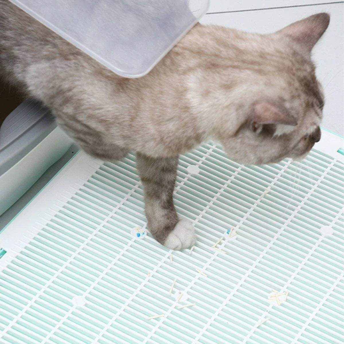 Anti-Spill Cat Litter Mat – Grey