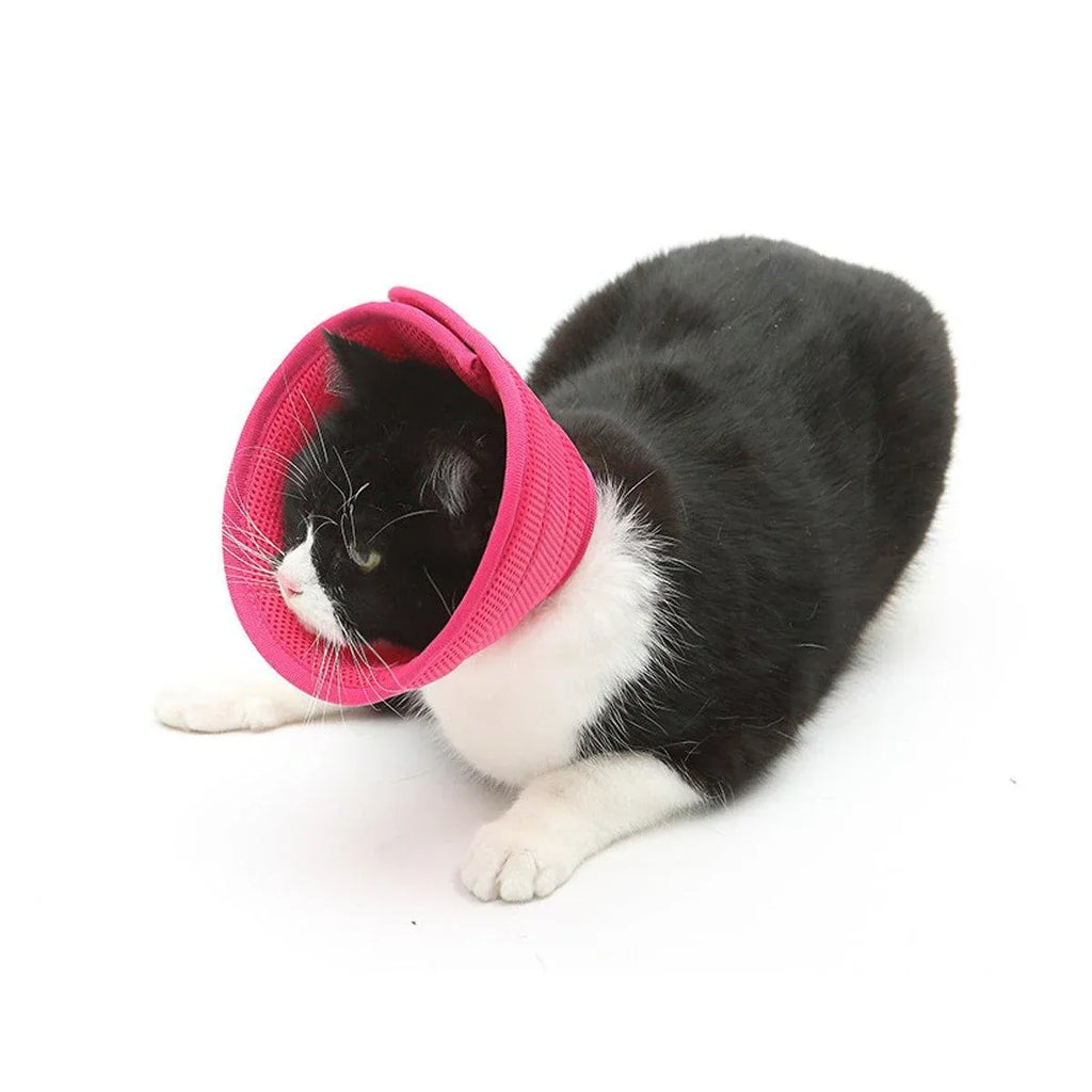 Pet Recovery Cone (E-Collar) – Grey, Size 2