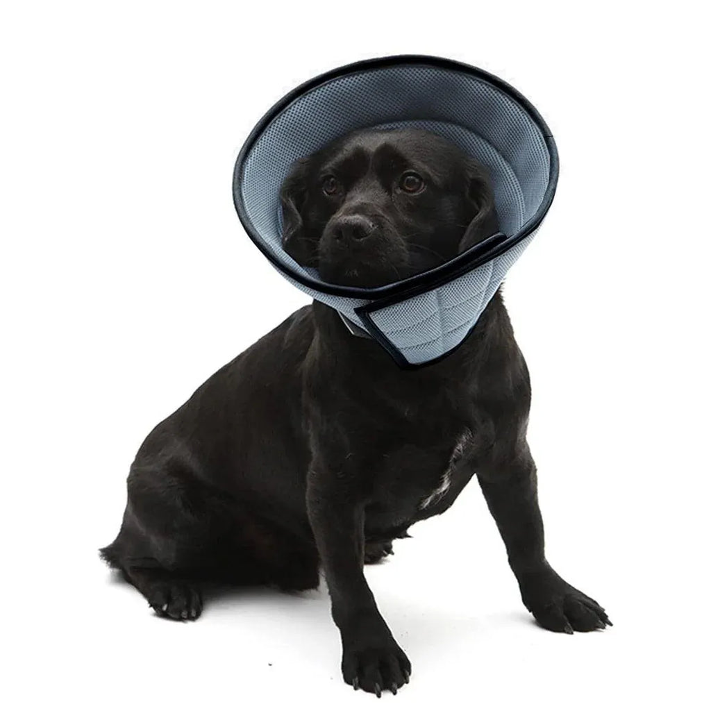 Pet Recovery Cone (E-Collar) – Grey, Size 2