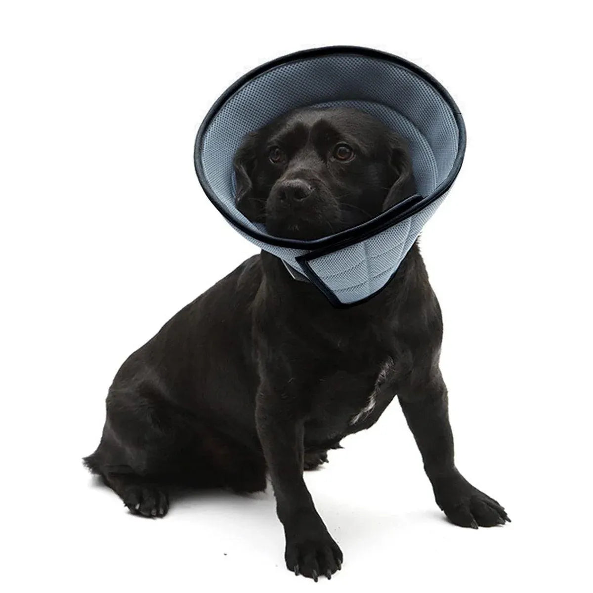 Pet Recovery Cone (E-Collar) – Grey, Size 2