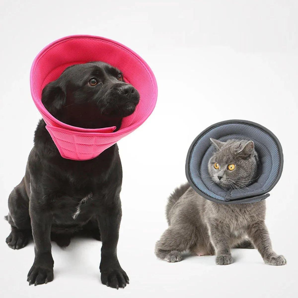 Pet Recovery Cone (E-Collar) – Grey, Size 2