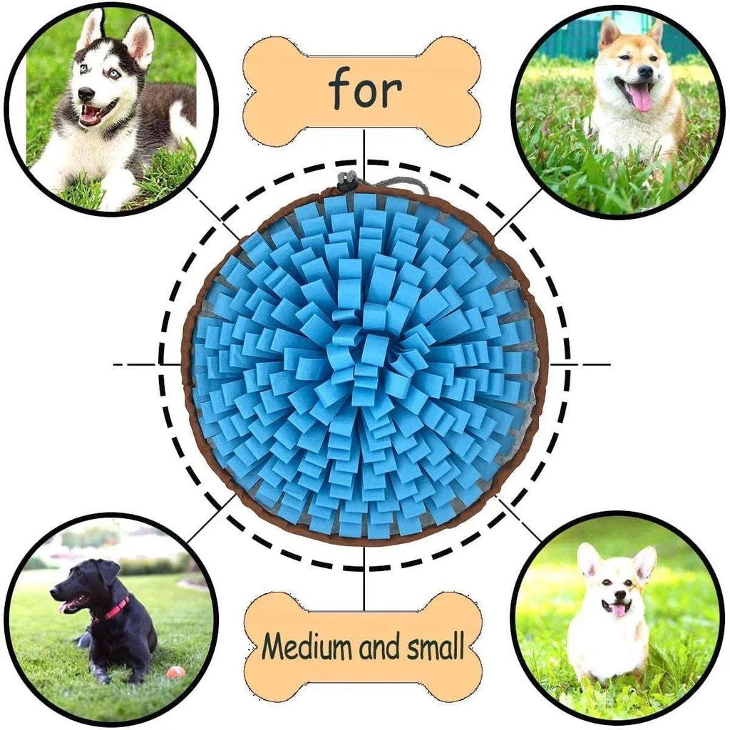 Snuffle Mat for Dogs – Blue