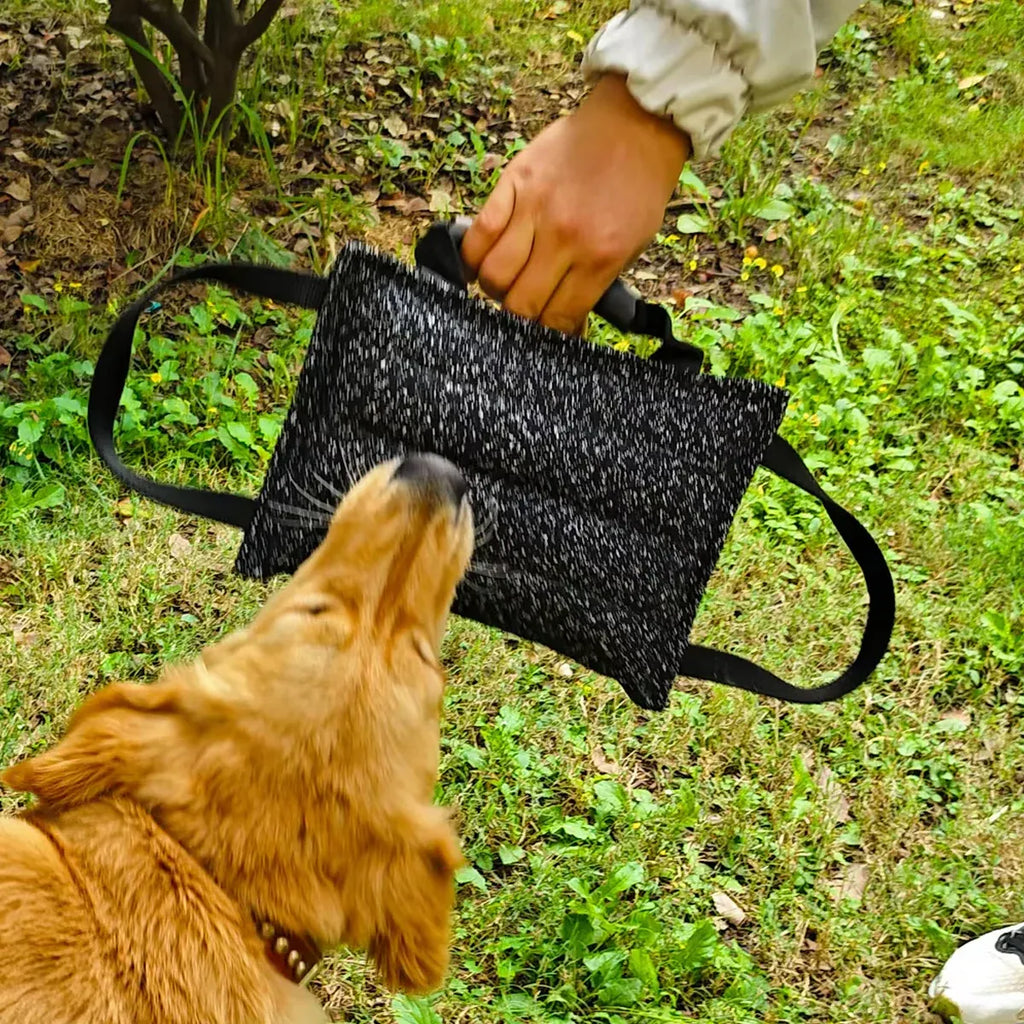 Chew Pillow Tug Toy – 26cm
