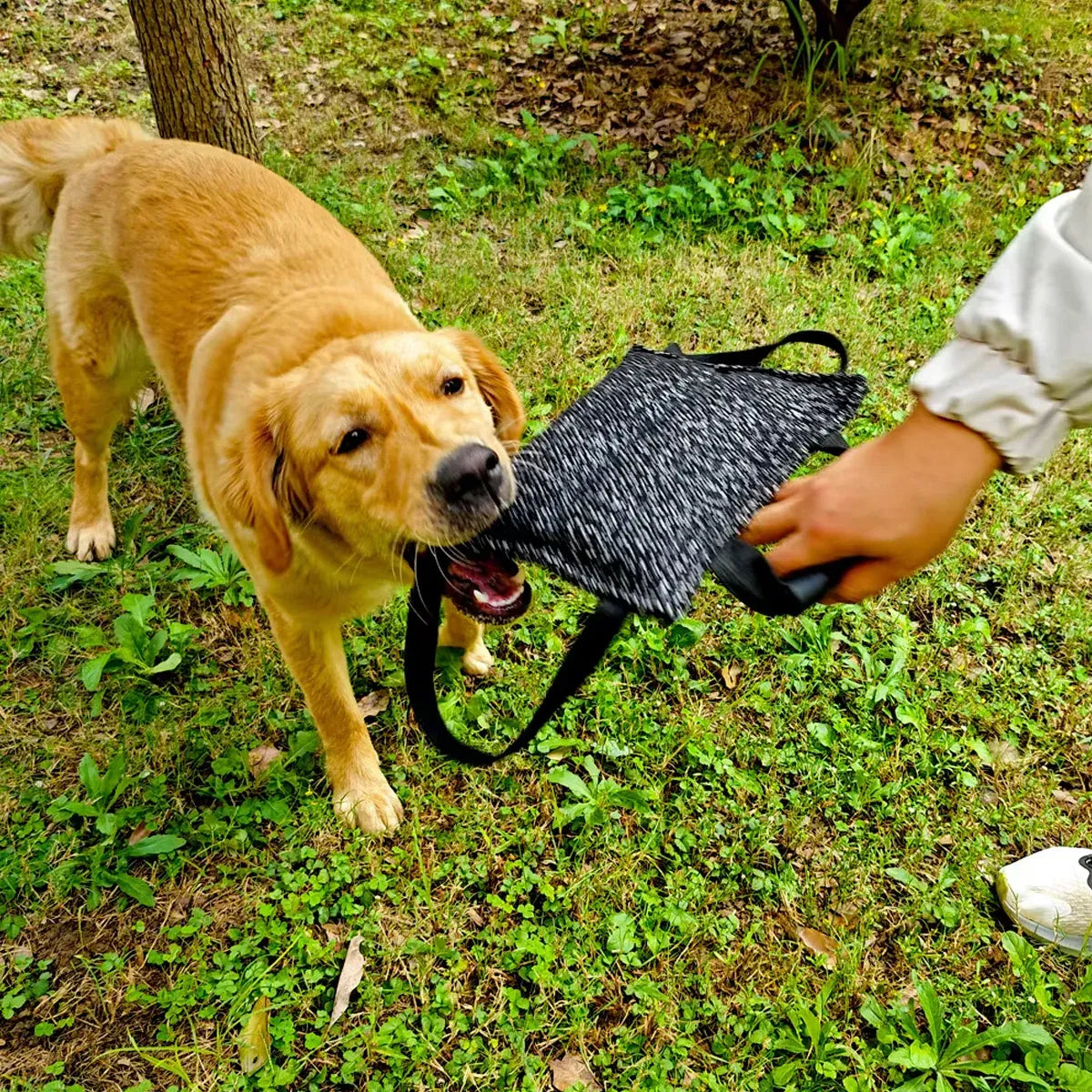 Chew Pillow Tug Toy – 26cm