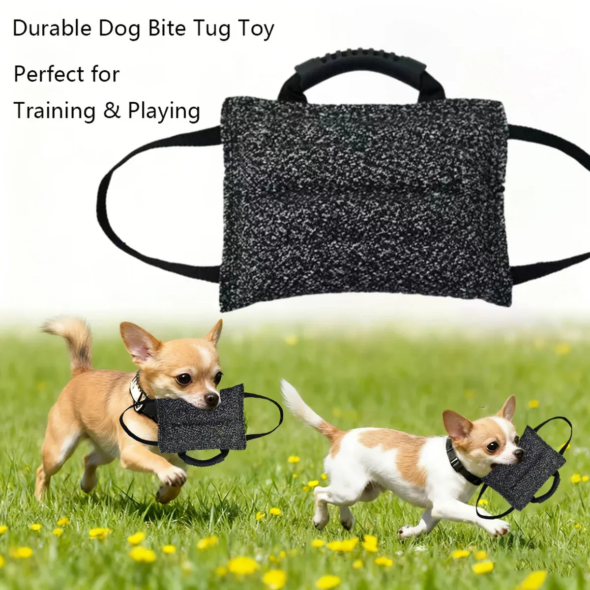 Chew Pillow Tug Toy – 26cm
