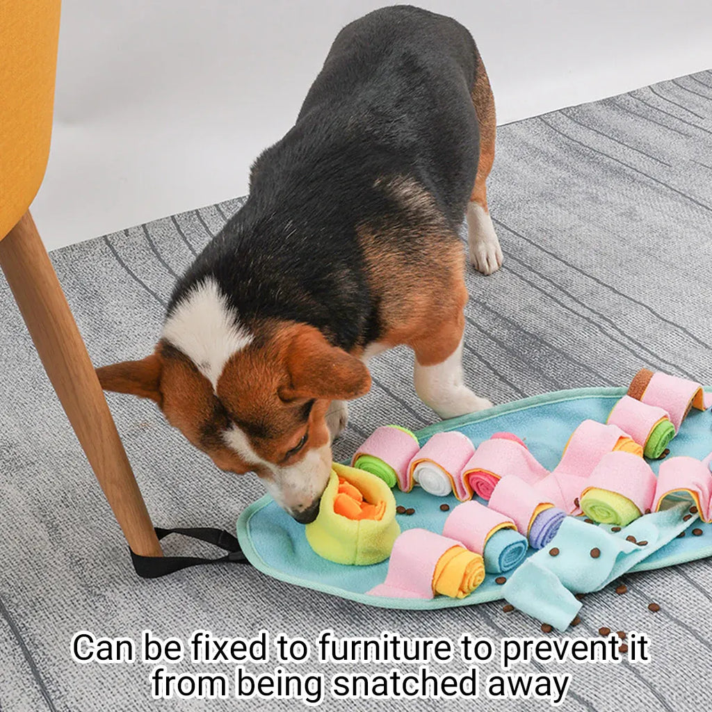 Snuffle Mat Puzzle Toy for Dogs