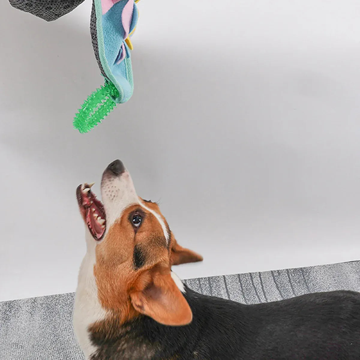 Snuffle Mat Puzzle Toy for Dogs