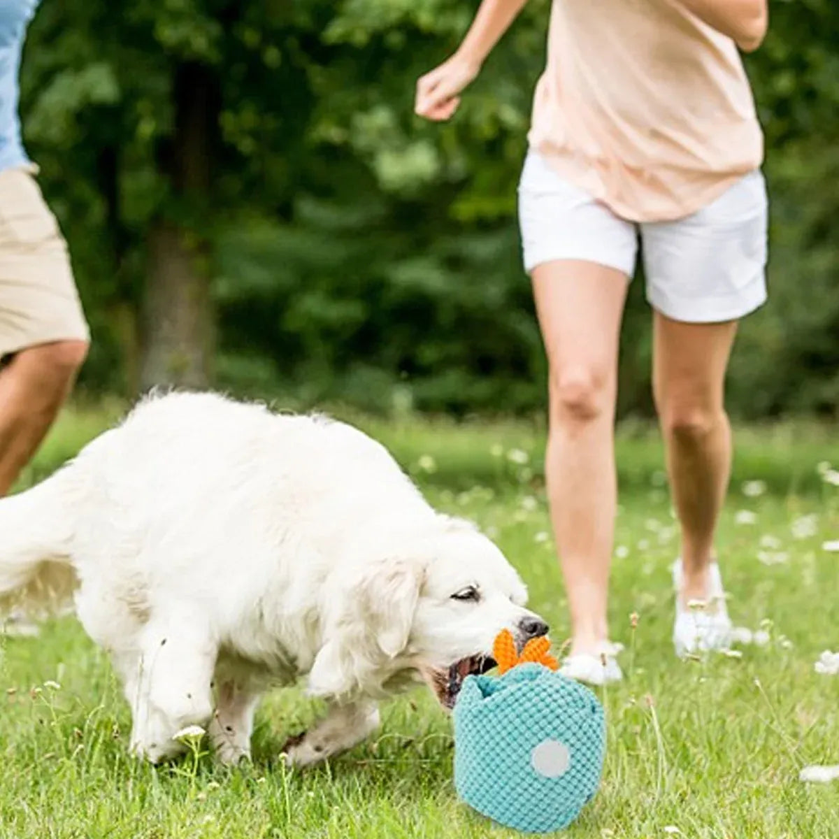 Foldable Snuffle Mat for Dogs & Cats