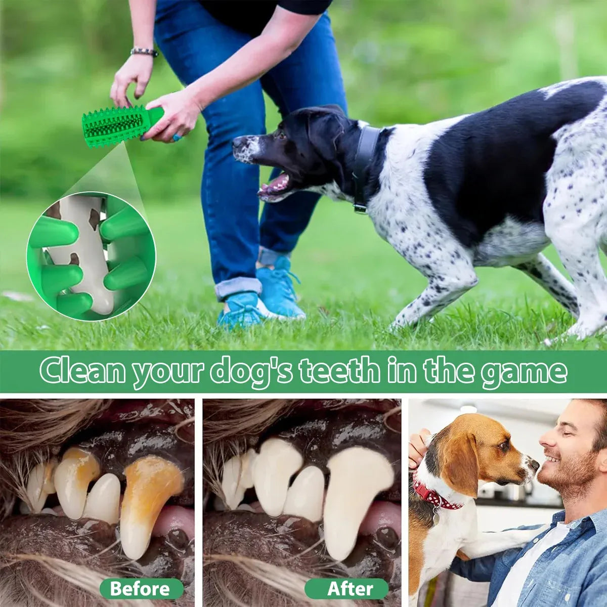Teething Chew Sticks – Small Dogs