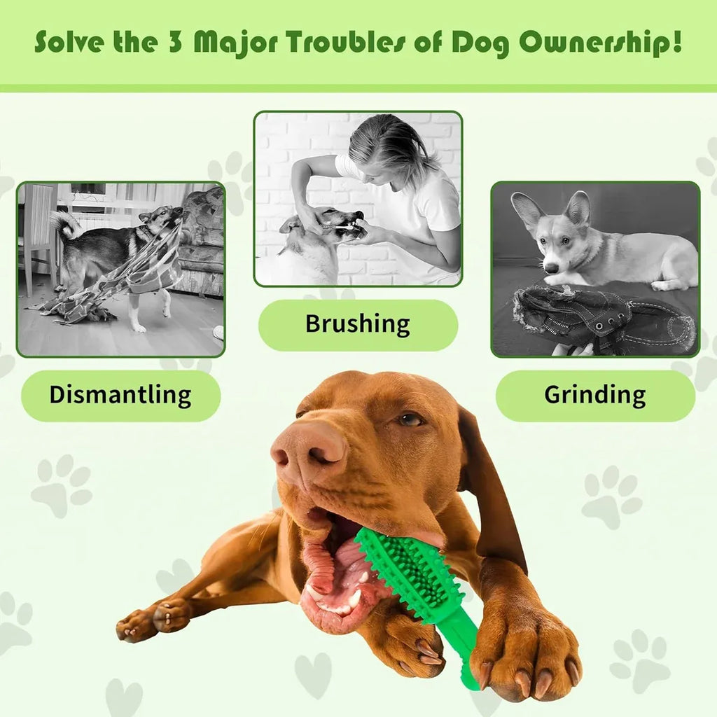 Teething Chew Sticks – Small Dogs