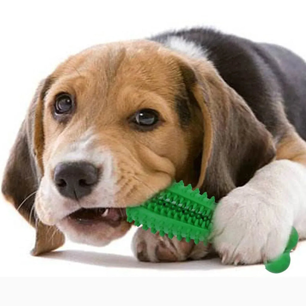 Teething Chew Sticks – Small Dogs
