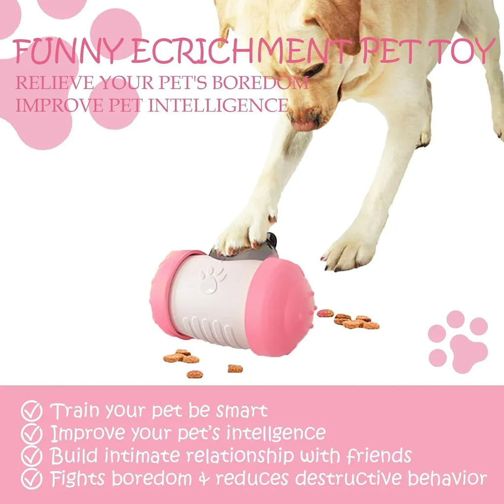 Treat-Dispensing Swing Toy – Pink