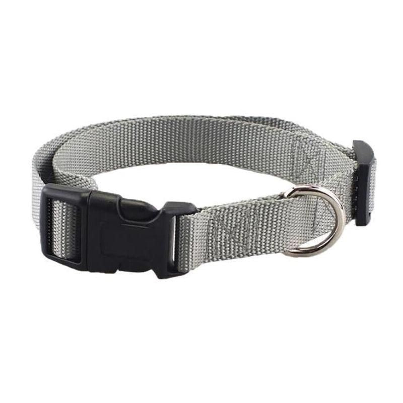 Adjustable Nylon Puppy Collar – Grey, S