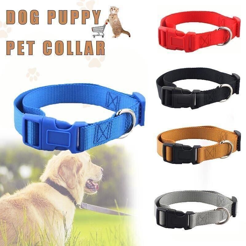 Adjustable Nylon Puppy Collar – Grey, S