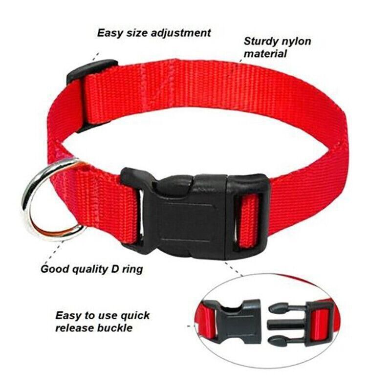 Adjustable Nylon Puppy Collar – Grey, S