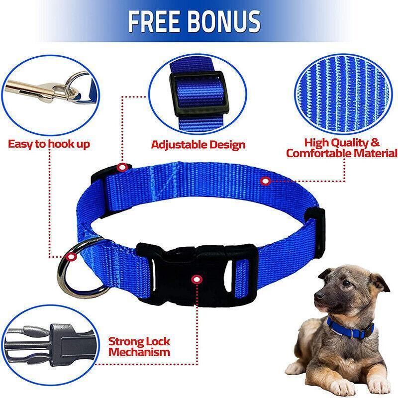 Adjustable Nylon Puppy Collar – Grey, S