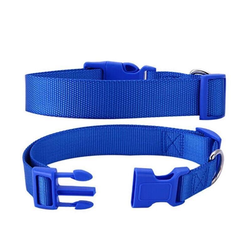 Adjustable Nylon Puppy Collar – Grey, S