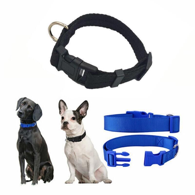 Adjustable Nylon Puppy Collar – Grey, S