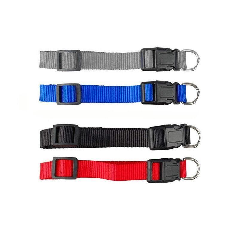 Adjustable Nylon Puppy Collar – Grey, S