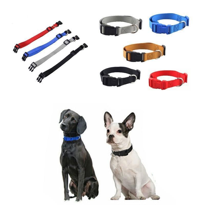 Adjustable Nylon Puppy Collar – Grey, S