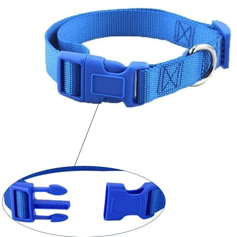 Adjustable Nylon Puppy Collar – Grey, S
