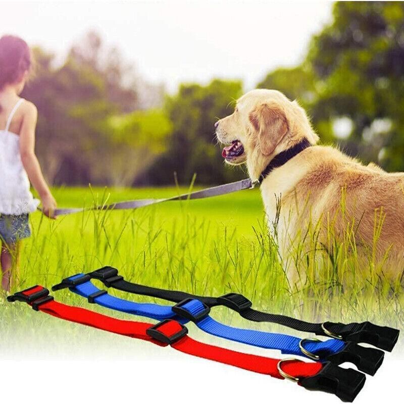 Adjustable Nylon Puppy Collar – Grey, S