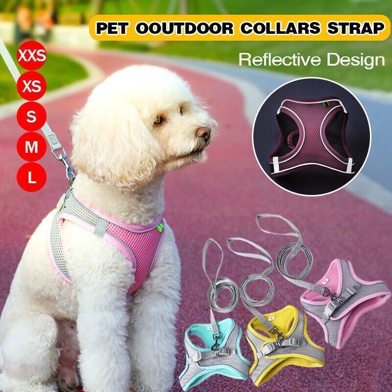 Reflective Dog Harness & Leash Set – Yellow, L