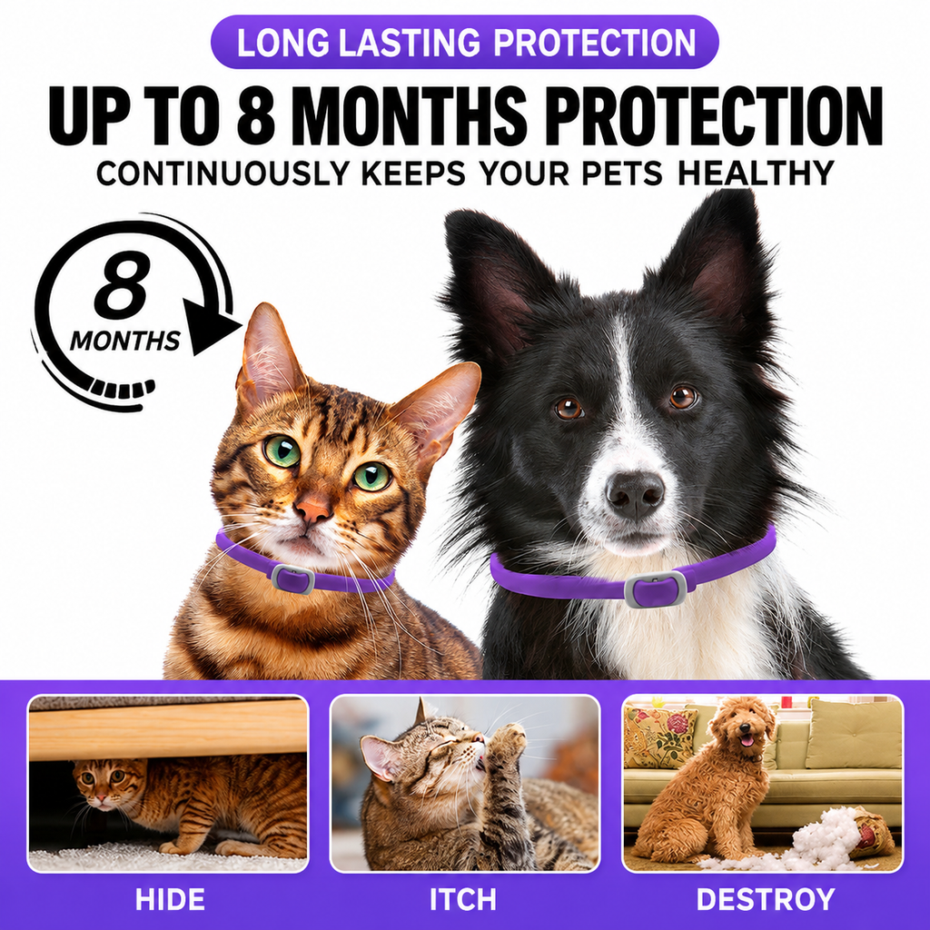 Calming Collar for Dogs – 68cm, 2 Pack